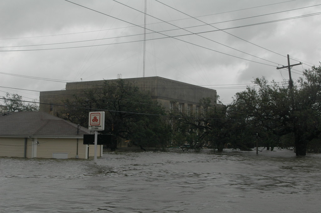 The Legacy of Hurricane Katrina: A Reflection on Impact and Recovery