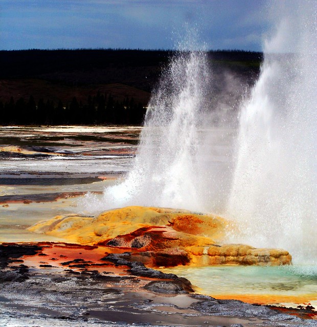 Exploring the Wonders of Yellowstone National Park