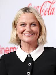 Amy Poehler: A Comedic Force in Entertainment