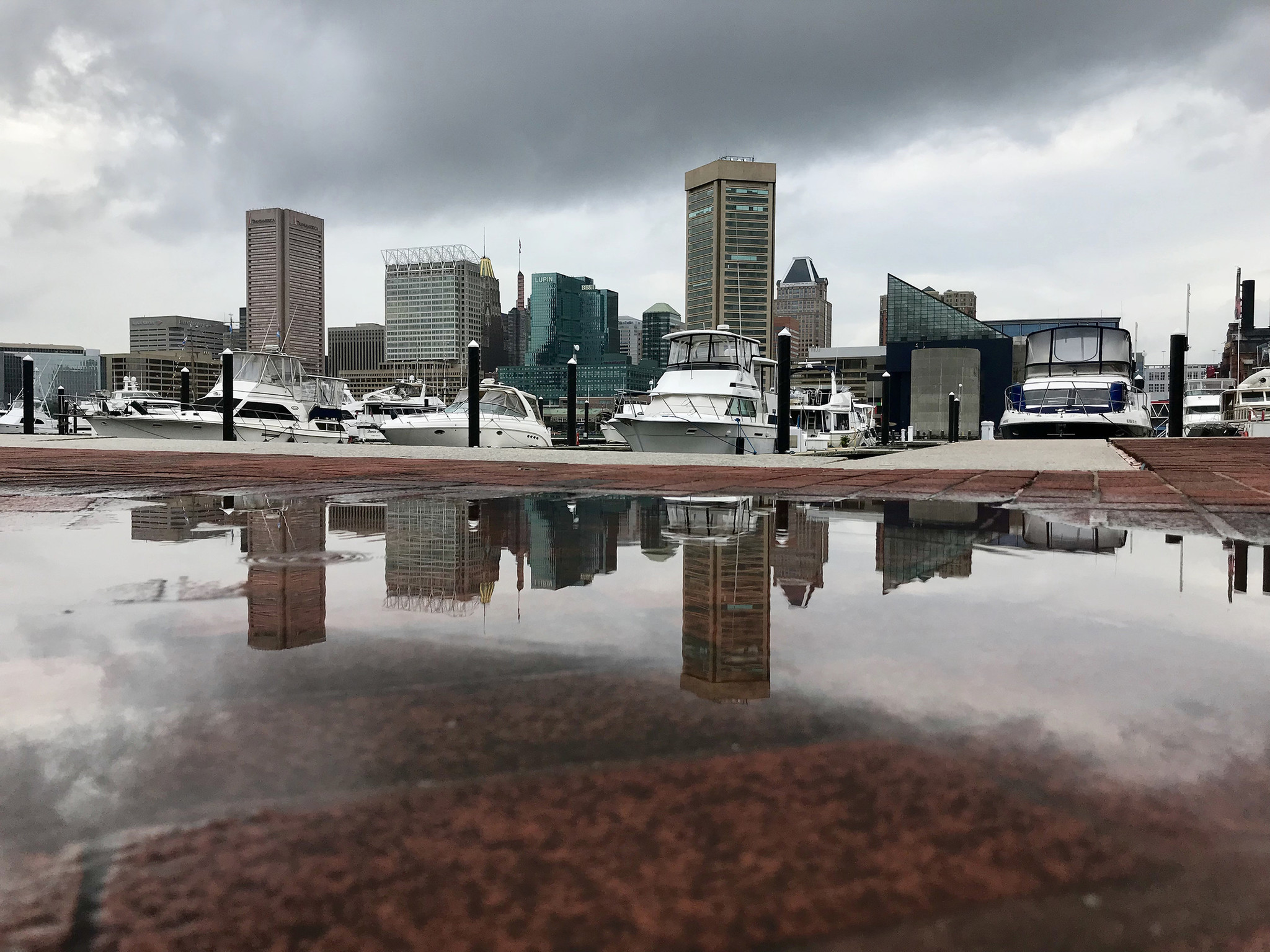 Latest Baltimore Weather Forecast