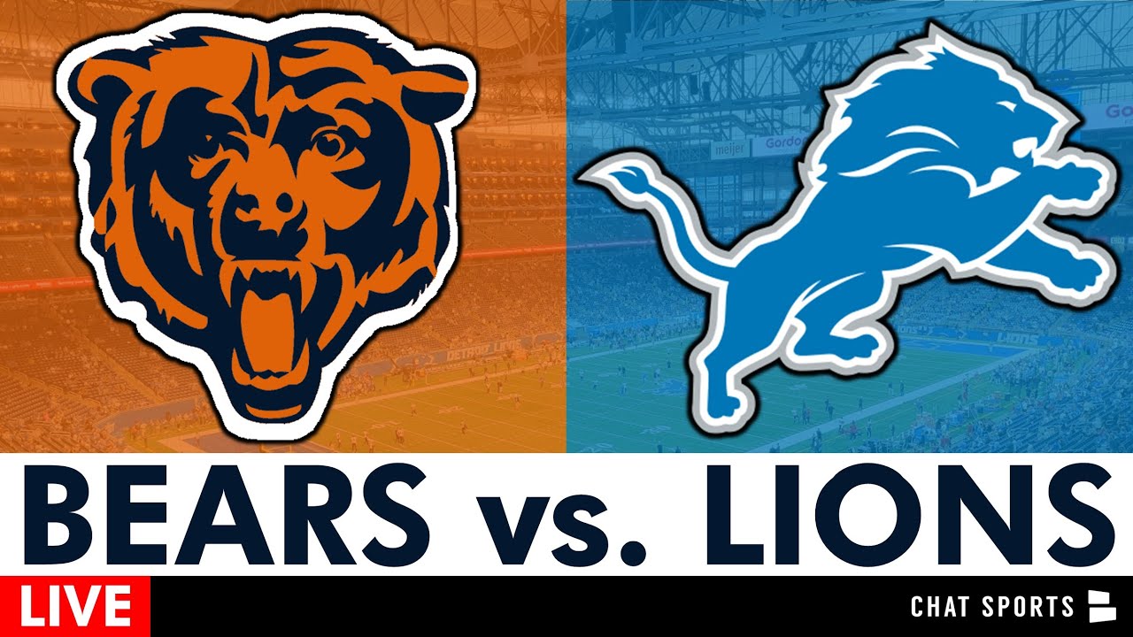 Bears vs Lions: A Comprehensive Comparison of Two Majestic Animals