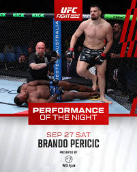 The Impact of Brando Pericic in Today’s Landscape