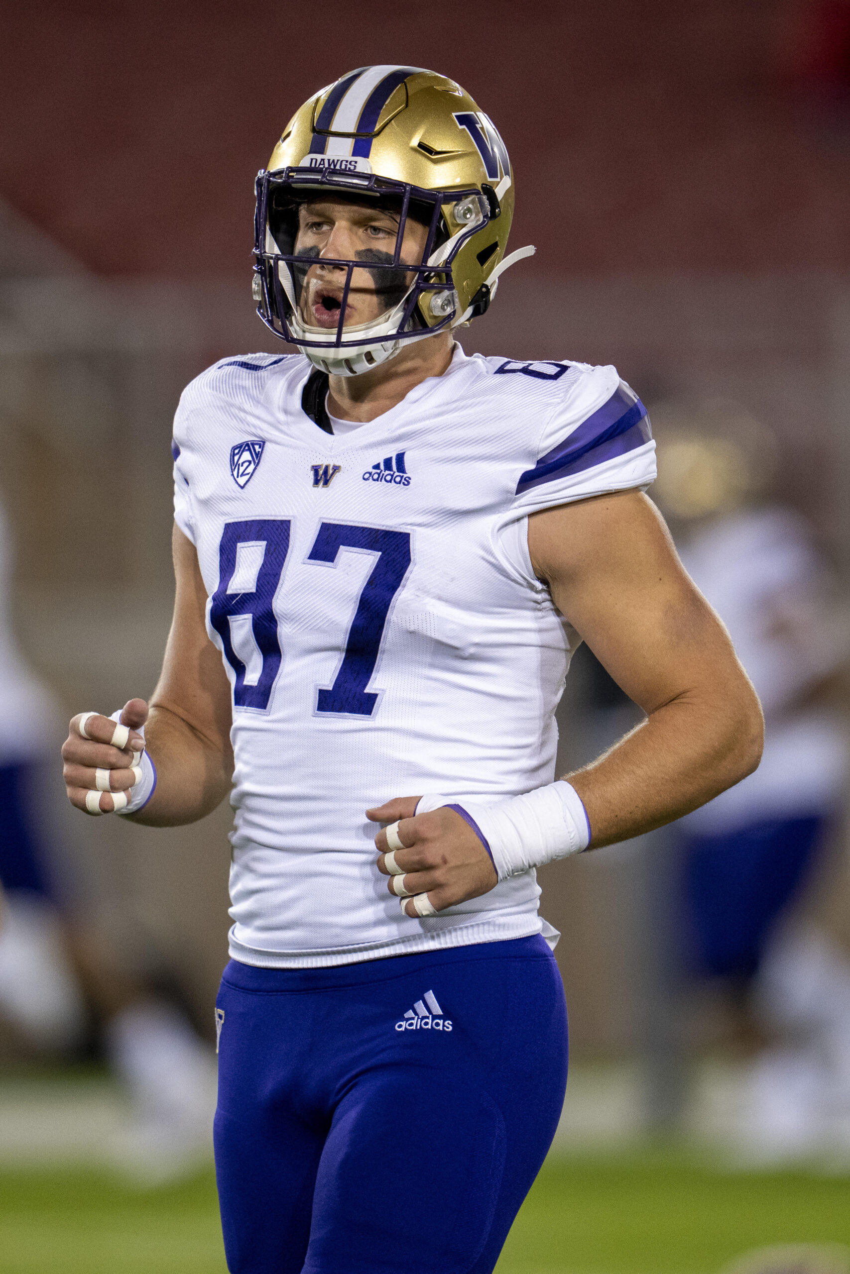 Cade Otton: A Promising Talent in the NFL Landscape