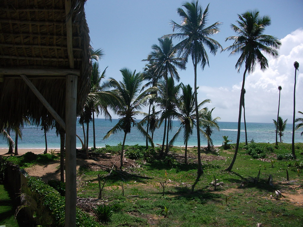 Exploring the Dominican Republic: Culture, Economy, and Tourism