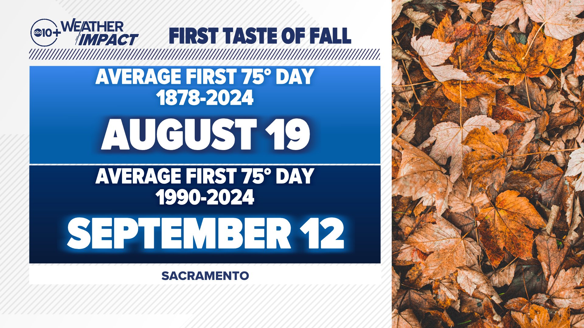 Celebrating the First Day of Fall: A Seasonal Transition