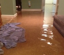 Understanding and Managing a Flooded Basement