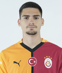 The Journey and Impact of Galatasaray in Turkish Football