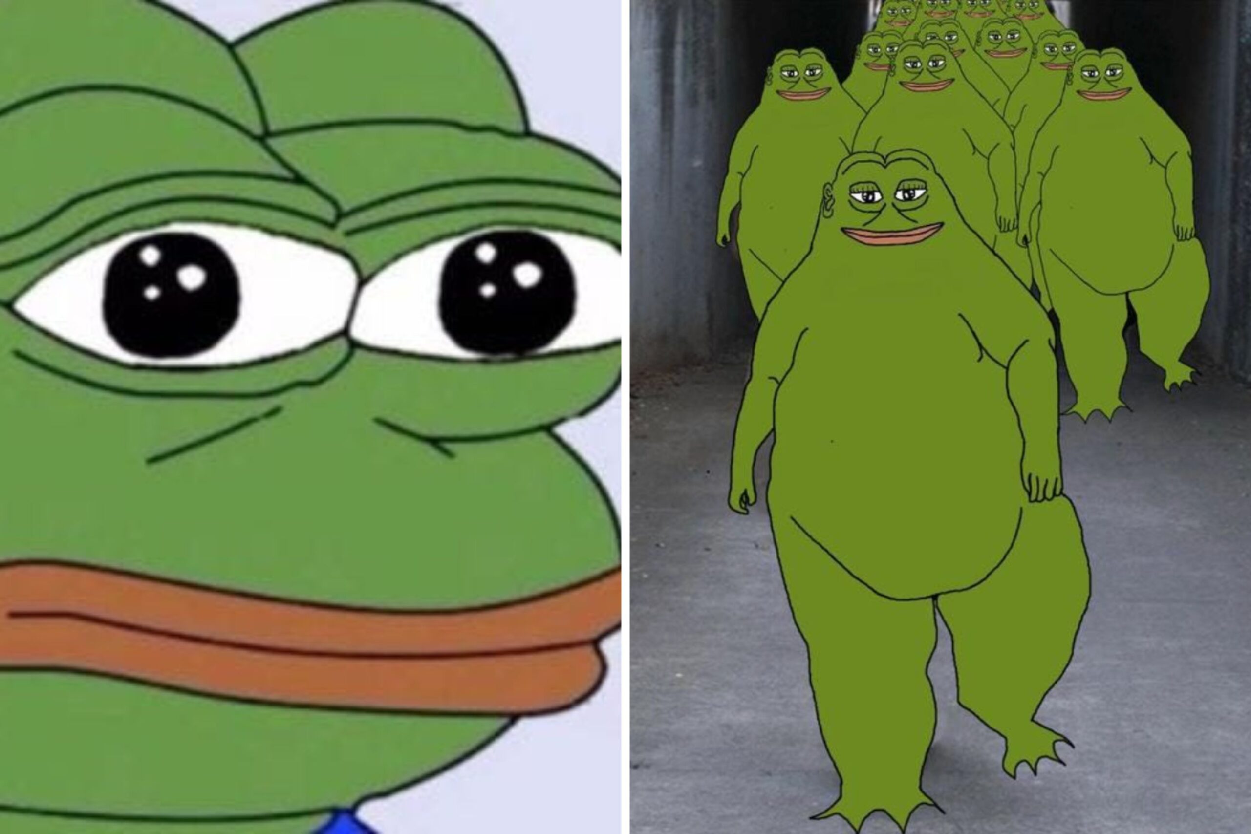 The Groyper Movement: A Rise in Online Activism