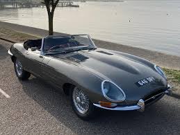 Exploring the Life and Conservation of Jaguars