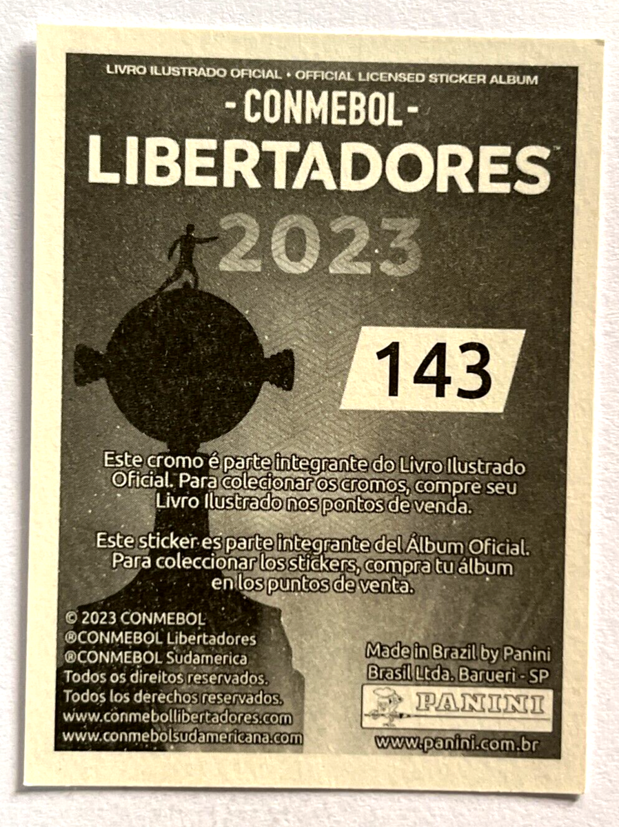 Copa Libertadores: A Celebration of South American Football