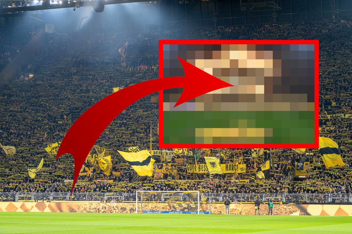 Mainz 05 vs. Dortmund: Match Highlights and Analysis