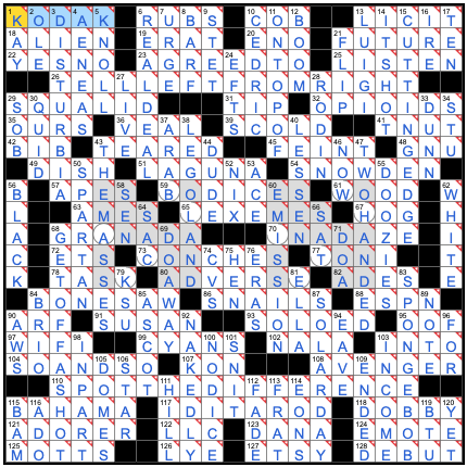 Understanding NYT Crossword Clues: Tips and Insights