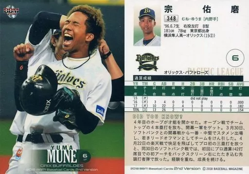 Overview of the Orix Buffaloes Baseball Team