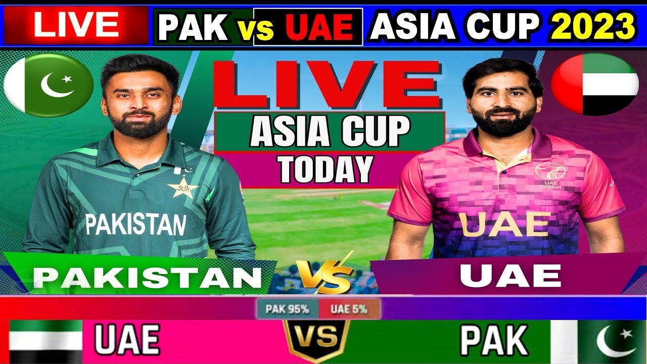 Highlights from the Pakistan vs UAE Cricket Match