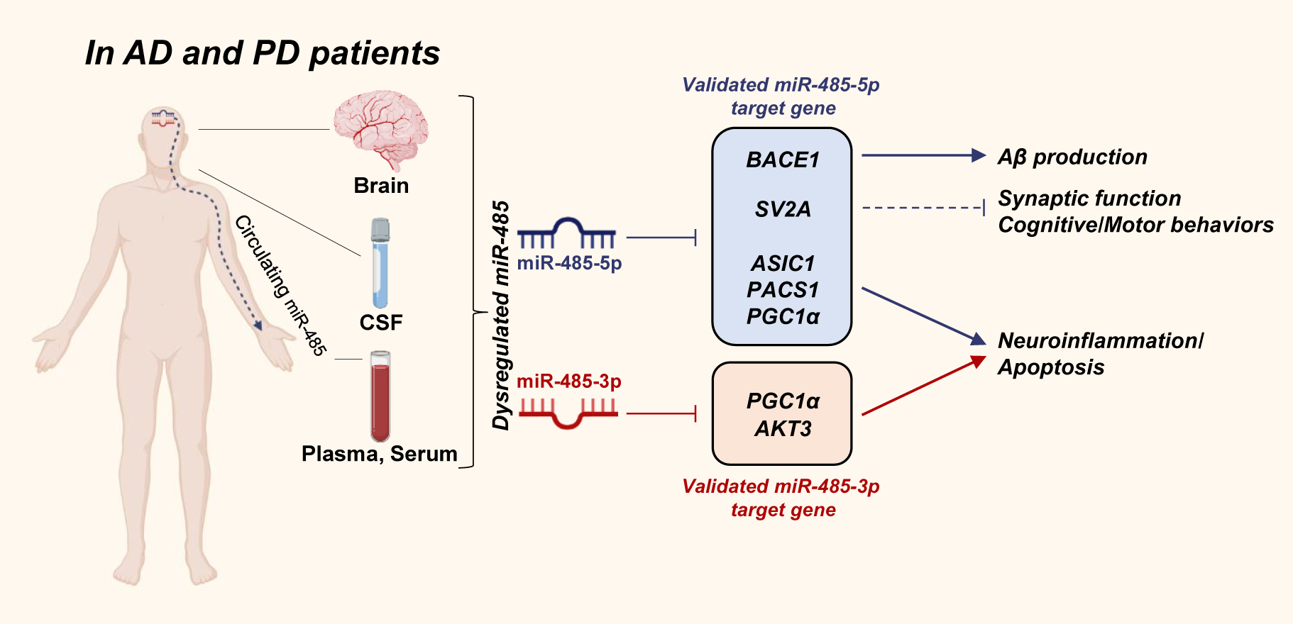 An In-Depth Look at Parkinson’s Disease
