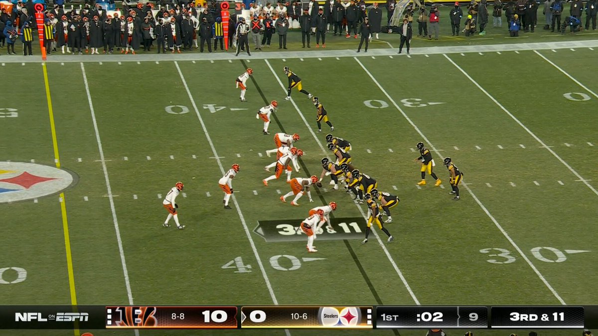 Thrilling Moments from the Recent Steeler Game