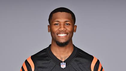 Tee Higgins: A Rising Star in the NFL Landscape