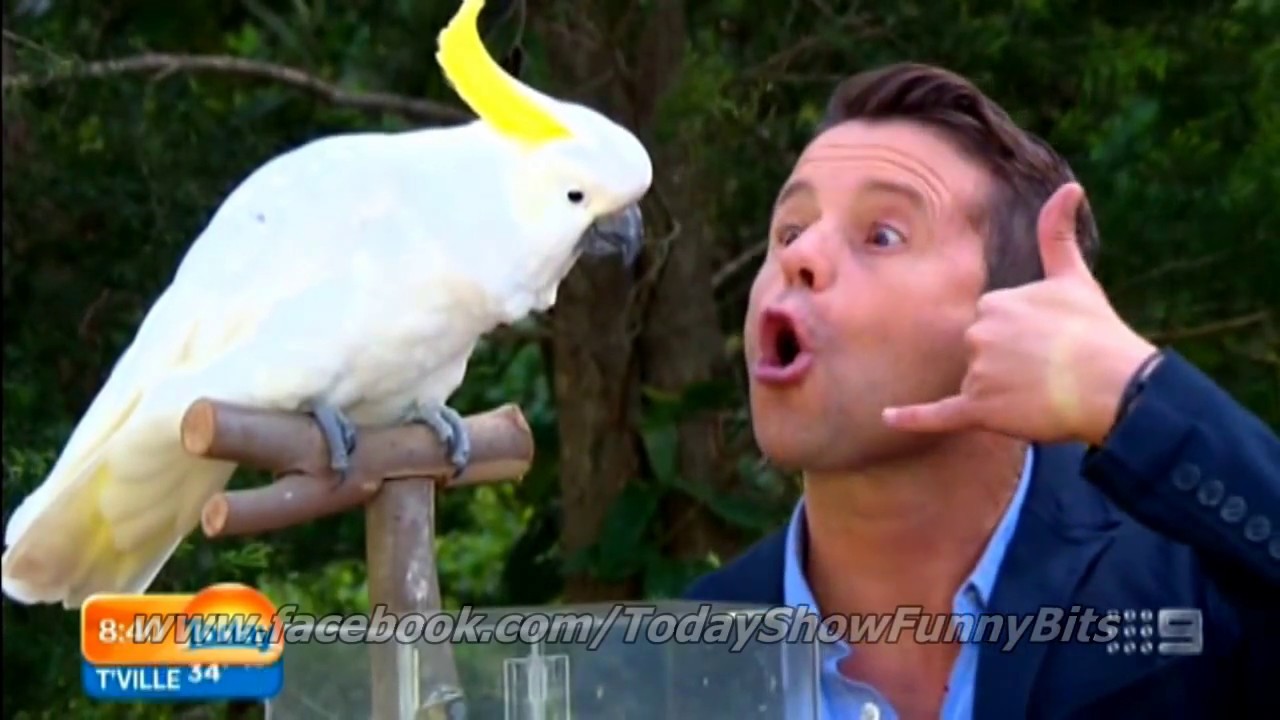 Highlights from Today’s Episode of The Today Show