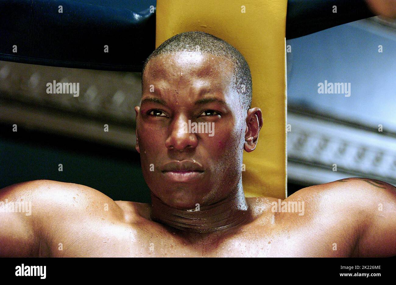The Impact and Career of Tyrese Gibson