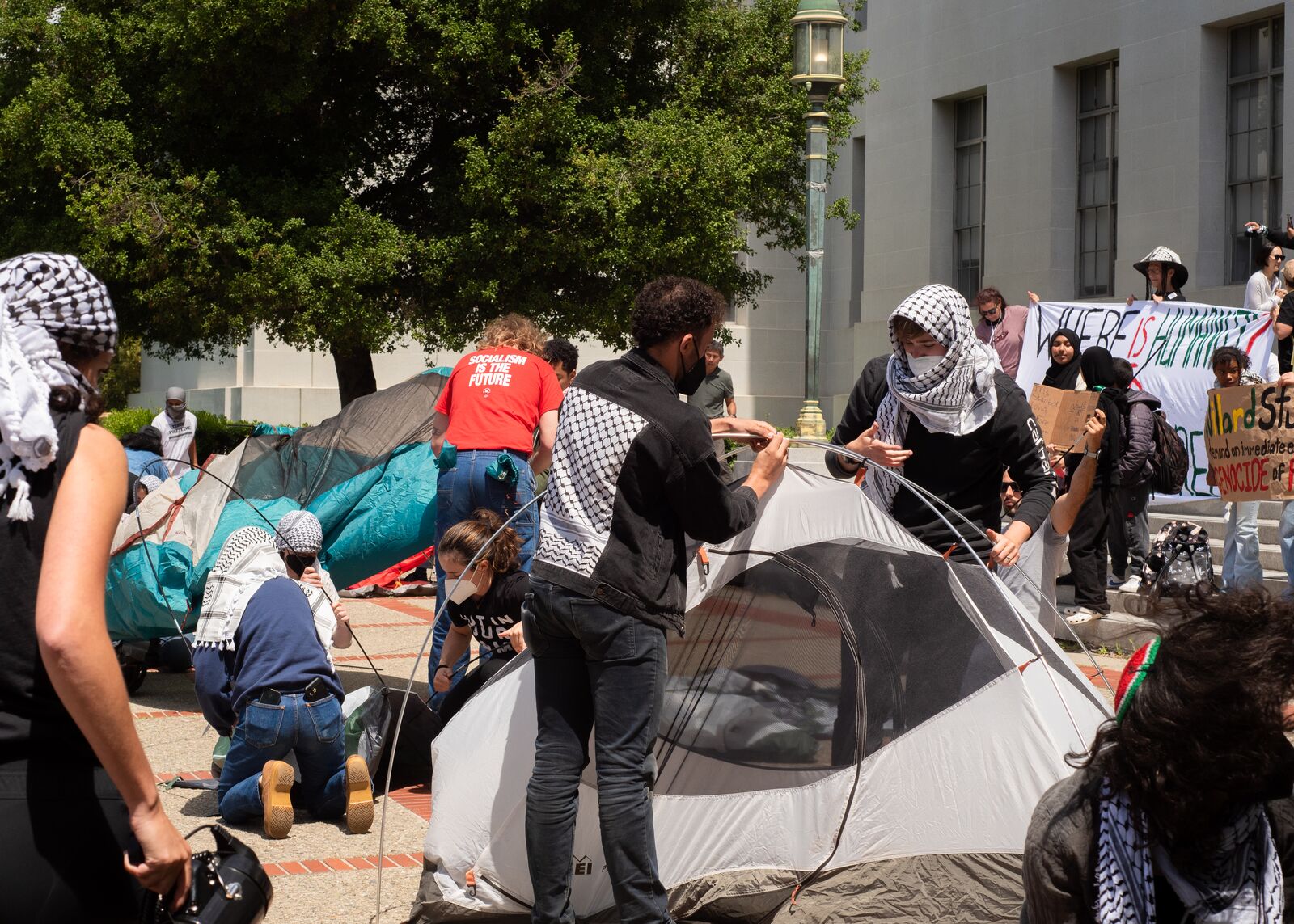 Overview of UC Berkeley: A Hub of Education and Innovation