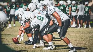 The Rise and Challenges of UH Manoa Football