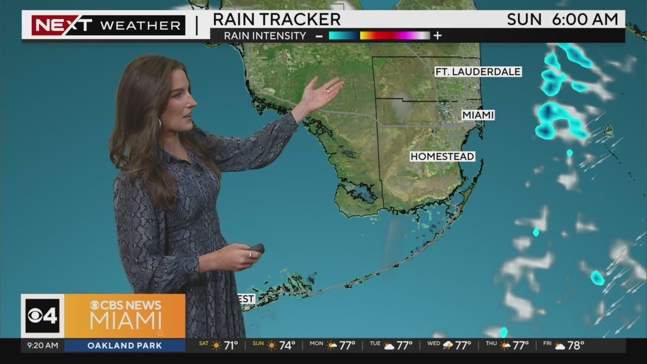 Current Weather in Miami: What You Need to Know