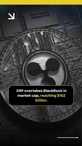 The Rise of XRP: Navigating the Future of Cryptocurrency