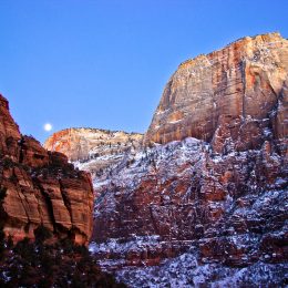 Exploring the Wonders of Zion National Park