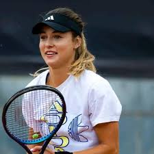 Anna Kalinskaya: A Promising Player in Tennis