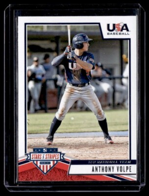 Anthony Volpe: The Future of the New York Yankees