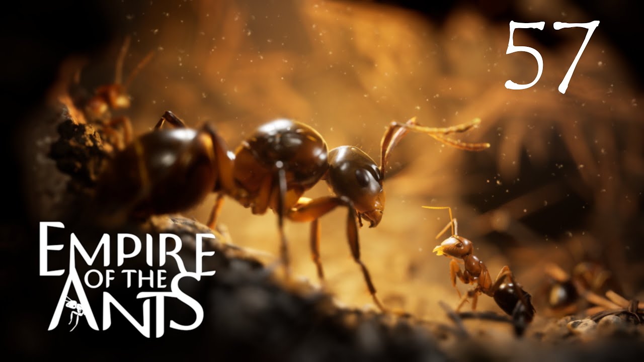 The Fascinating World of Ants: Importance and Impact