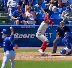 Blue Jays Fan Flashing: A Viral Moment in Sports