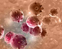 Understanding Cancer: Current Insights and Developments