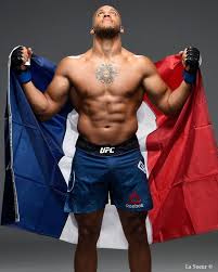 Ciryl Gane: The Rising Star in Mixed Martial Arts