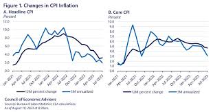 Understanding the Latest CPI Inflation Report