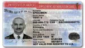 Understanding DHS Employment Authorization: Key Updates and Importance