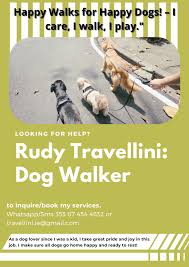 Understanding the Importance of Professional Dog Walkers