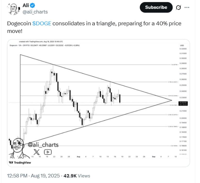 Current Trends in Dogecoin Price: What to Expect