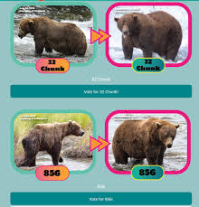 Get Ready for Fat Bear Week Voting 2023