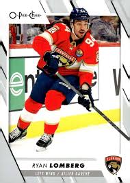 All About the Florida Panthers: A Glimpse into Their Journey