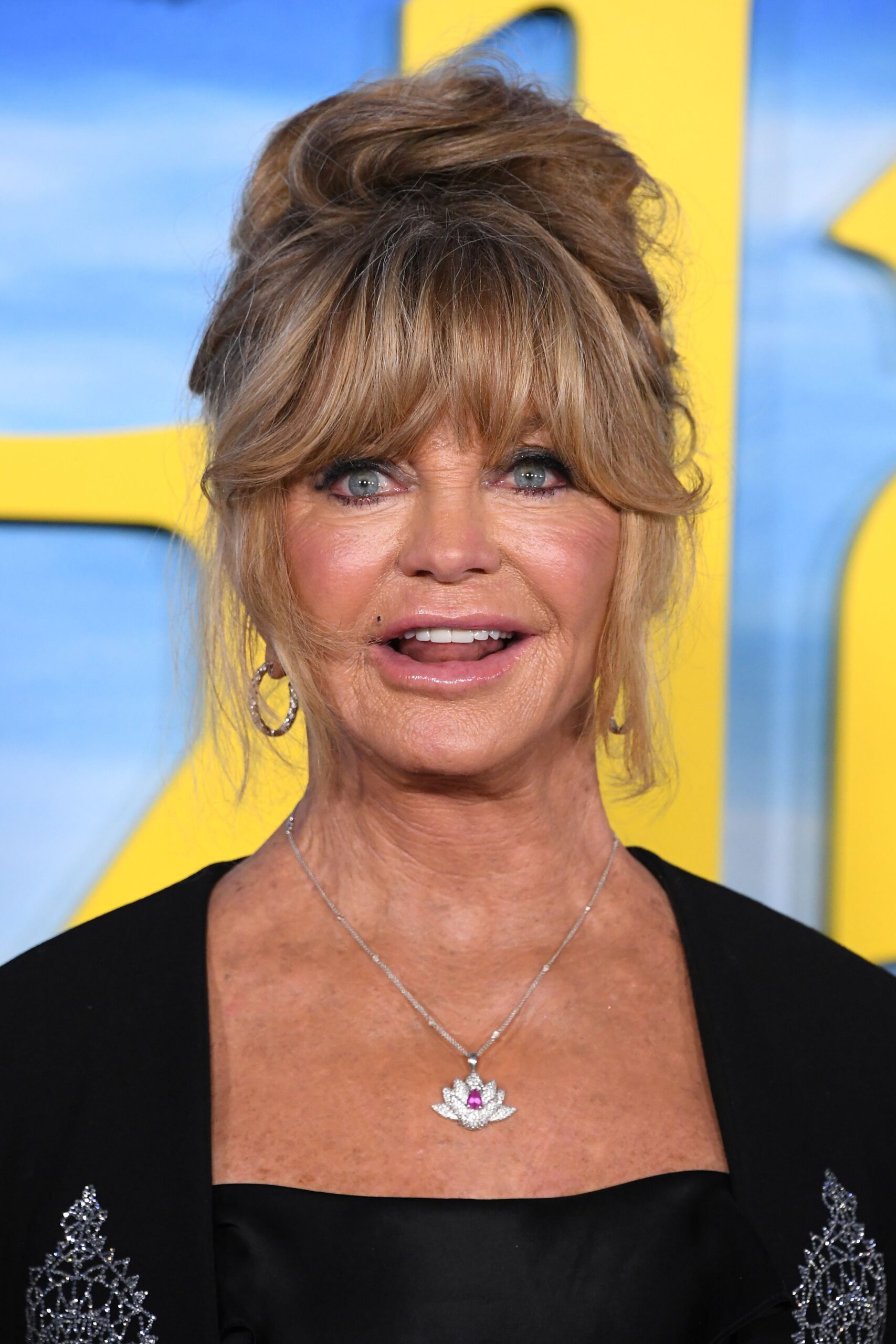 Goldie Hawn: A Look into the Life of a Hollywood Legend