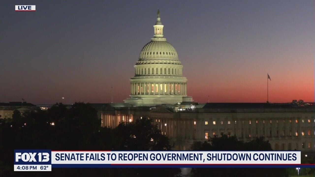 Understanding the Recent Government Shutdown and Senate Actions