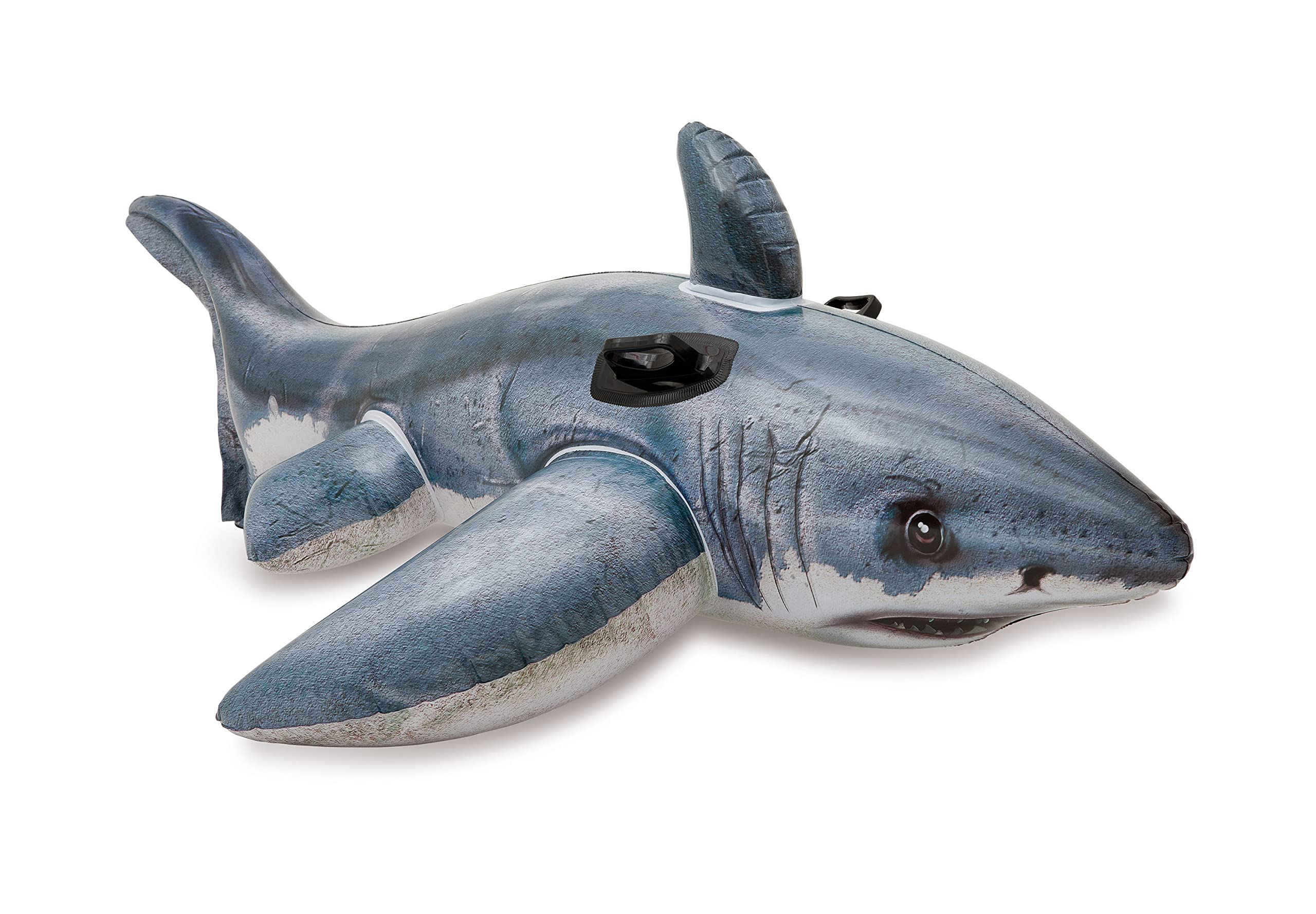 Exploring the Great White Shark: Nature’s Apex Predator