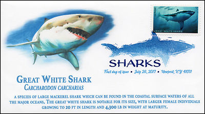 Understanding Great White Sharks: Apex Predators of the Ocean