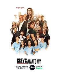 The Enduring Appeal of Grey Anatomy: A Cultural Phenomenon