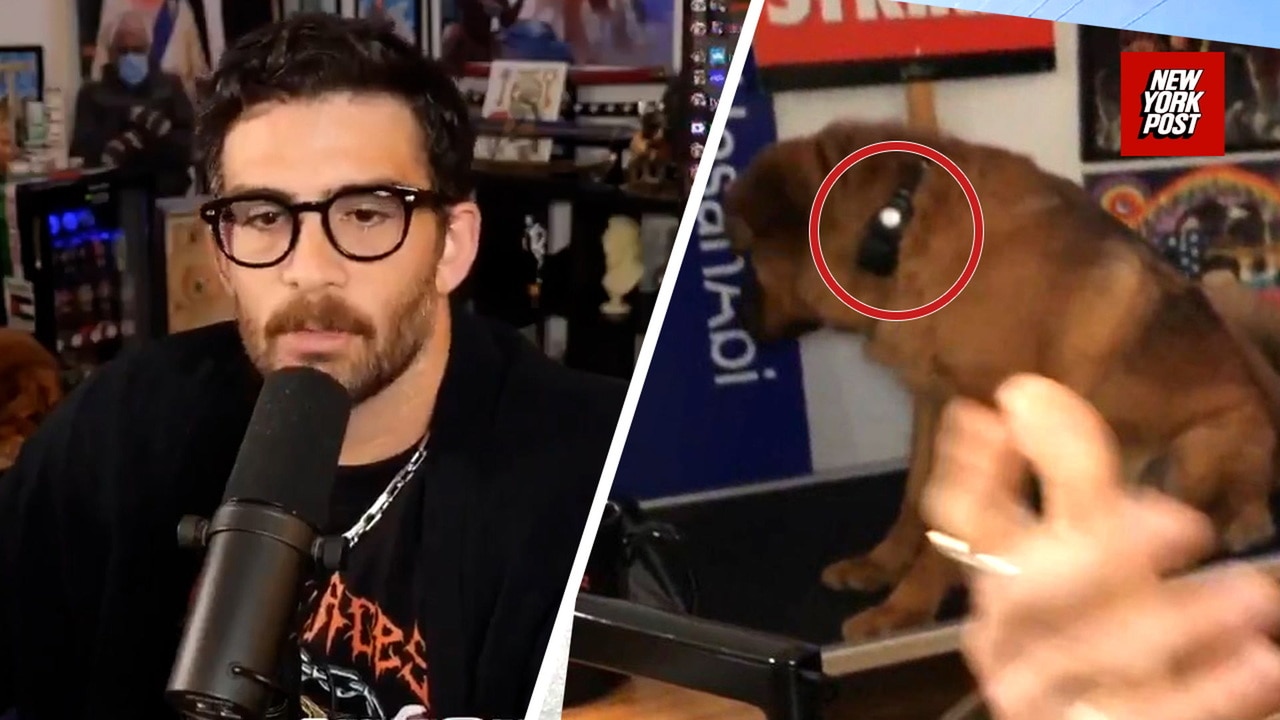 The Hasan Piker Shock Collar Incident: What Happened?