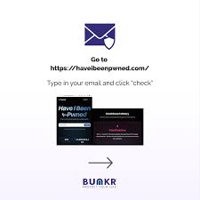 Understanding Have I Been Pwned: Your Online Security Ally