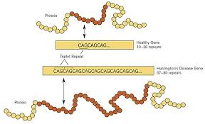 A Comprehensive Look at Huntington’s Disease