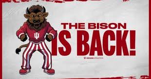 The Significance of Indiana Mascots in School Spirit