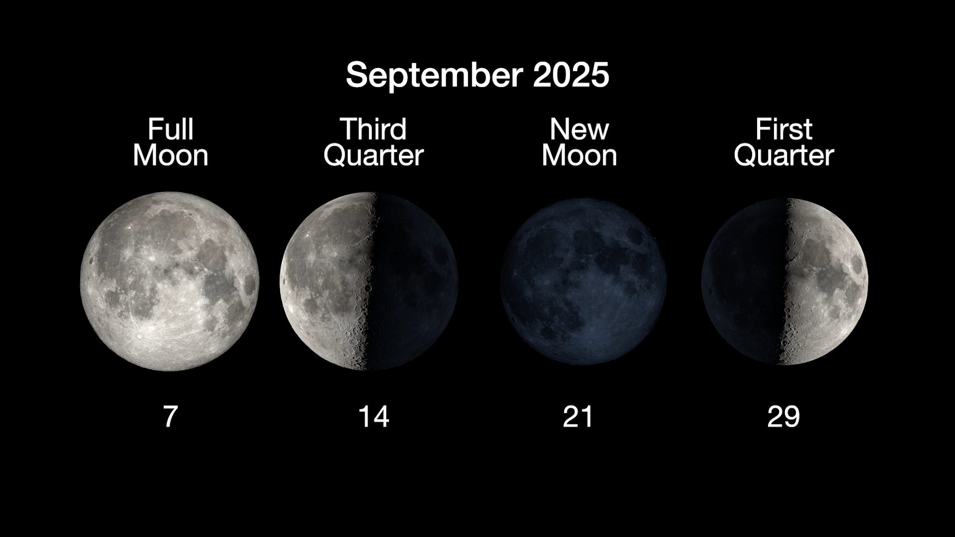 Is Tonight a Full Moon? All You Need to Know